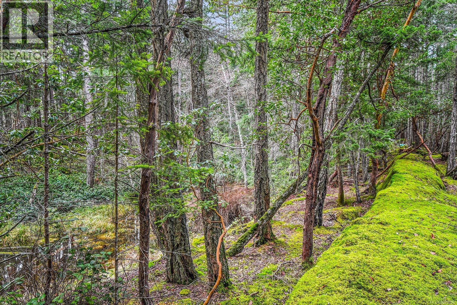 505 Cardale Rd, Decourcy Island, British Columbia  A1A 1A1 - Photo 14 - 1025998