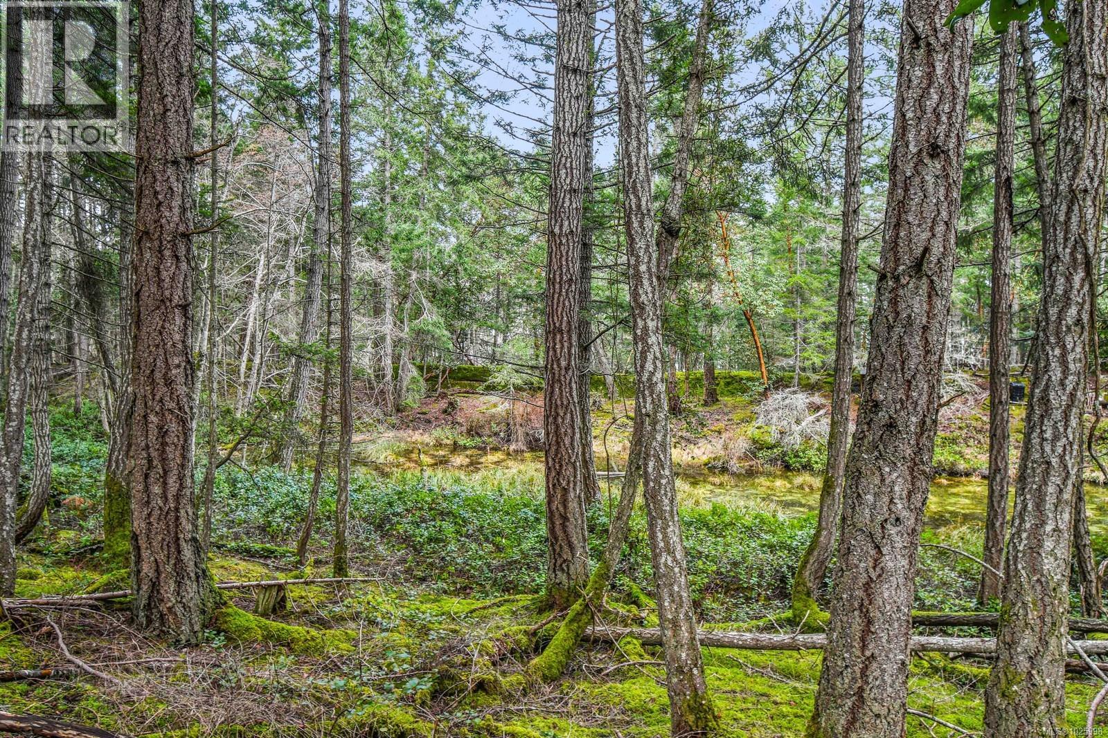 505 Cardale Rd, Decourcy Island, British Columbia  A1A 1A1 - Photo 20 - 1025998