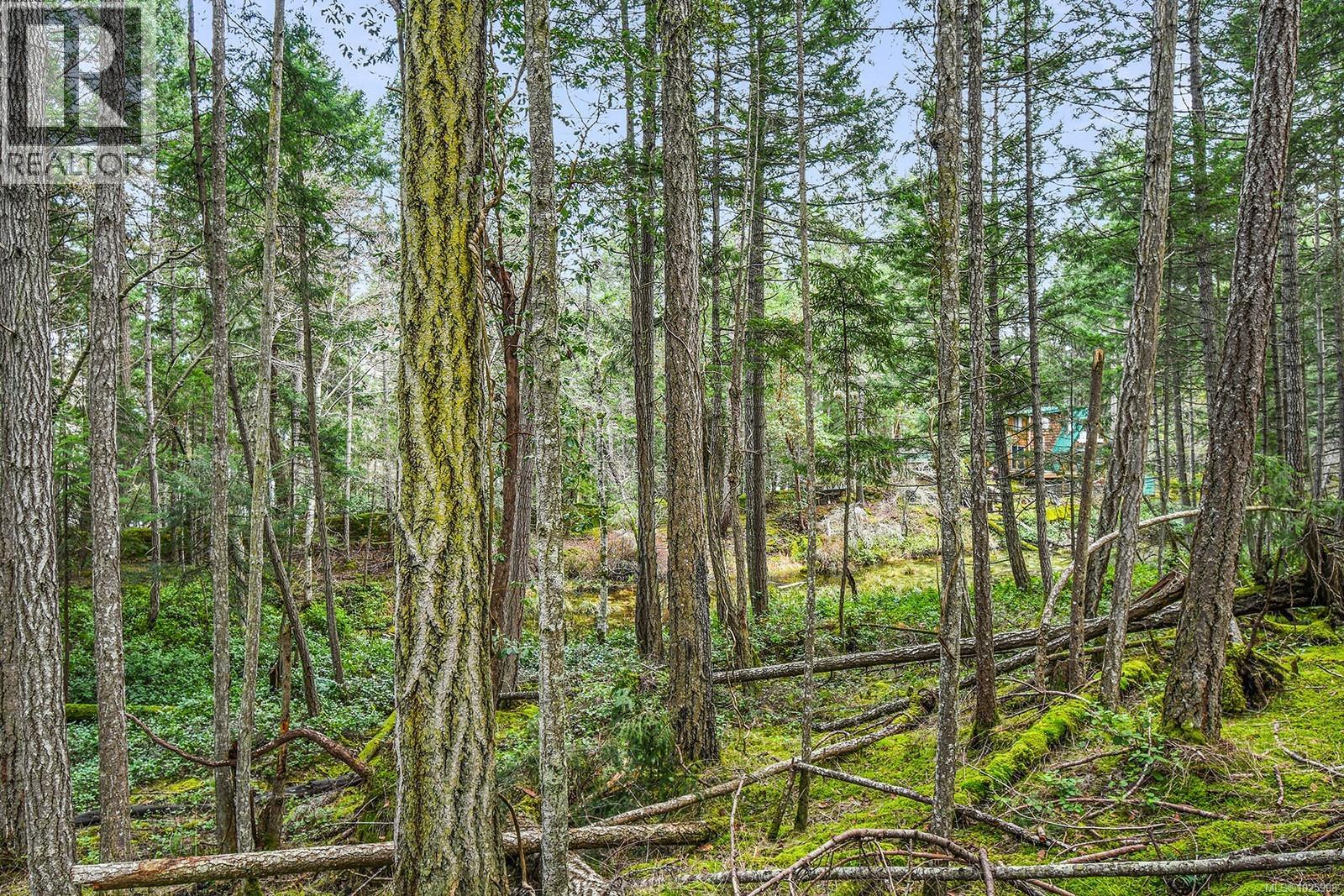 505 Cardale Rd, Decourcy Island, British Columbia  A1A 1A1 - Photo 21 - 1025998