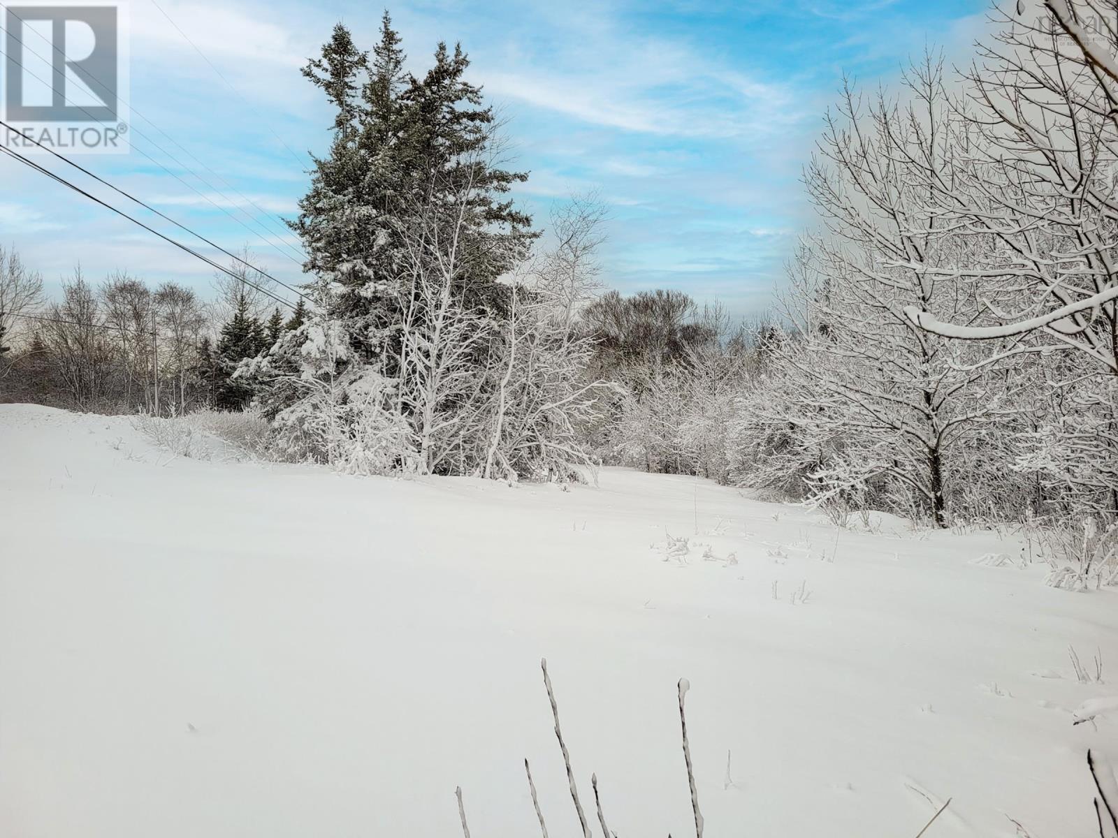 2999 Shore Road, Litchfield, Nova Scotia  B0S 1A0 - Photo 6 - 202602656