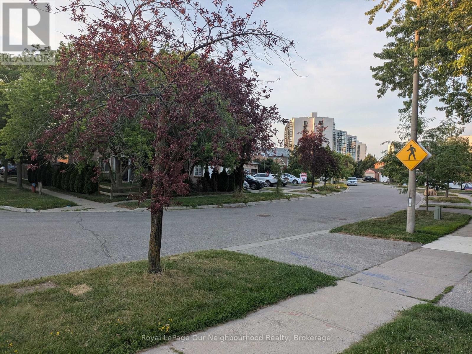 A - 31 Bingham Street, Richmond Hill, Ontario  L4C 8Y7 - Photo 29 - N12788246