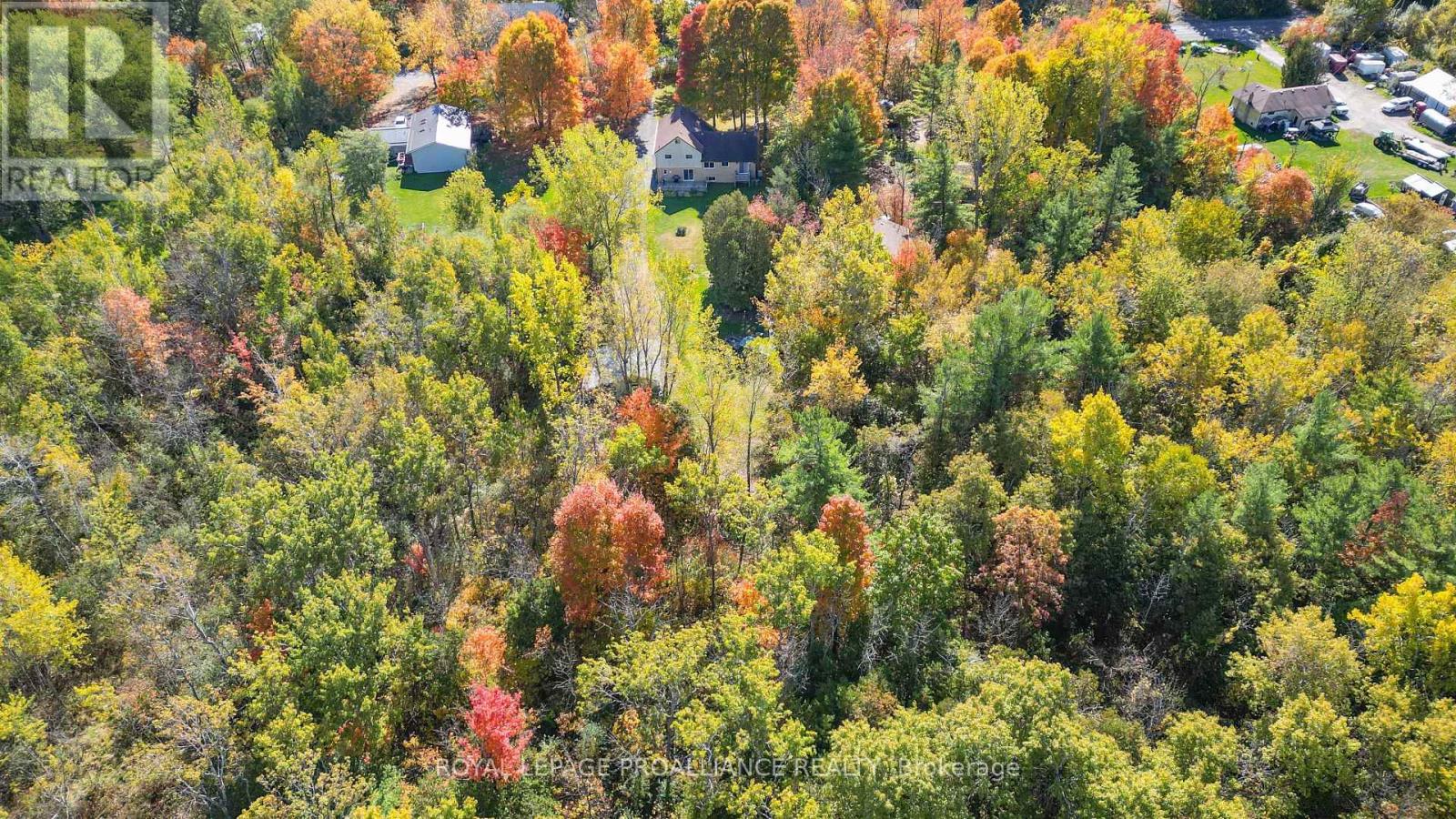 16276 Telephone Road, Brighton, Ontario  K0K 1H0 - Photo 49 - X12788188