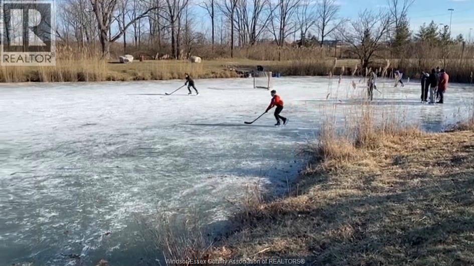 1278 Aire Place, Windsor, Ontario  N8S 4E4 - Photo 33 - 26003190