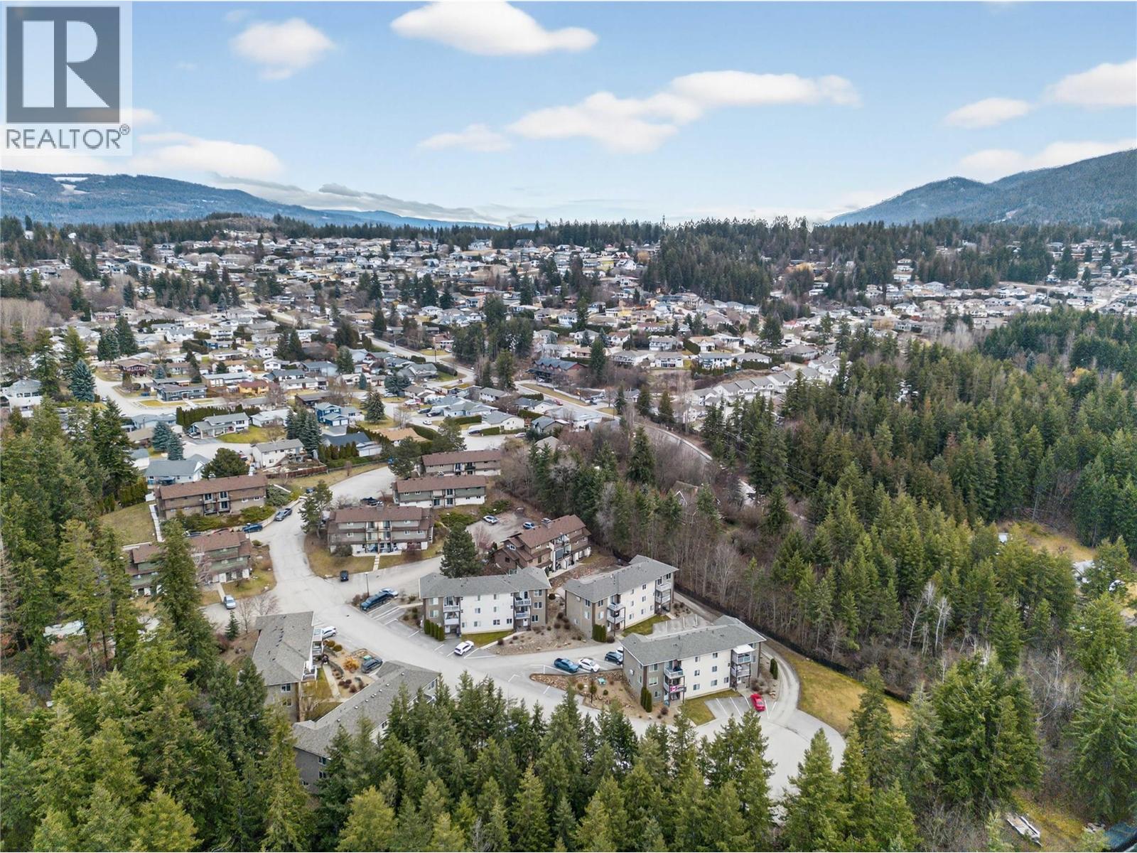 1449 1st Avenue Ne Unit# 403, Salmon Arm, British Columbia V1E 0C4 - Photo 39 - 10375796