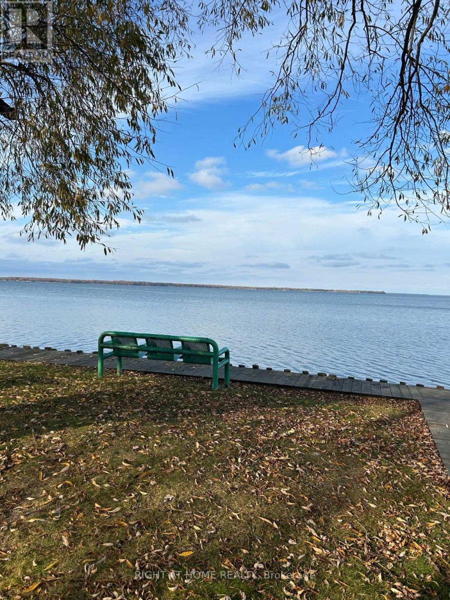 54 Blue Jay Boulevard, Georgina, Ontario  L0E 1N0 - Photo 38 - N12786540