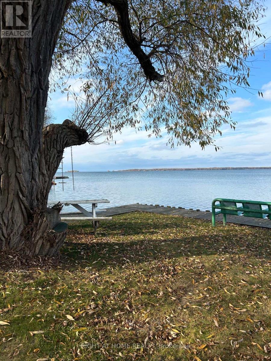 54 Blue Jay Boulevard, Georgina, Ontario  L0E 1N0 - Photo 39 - N12786540