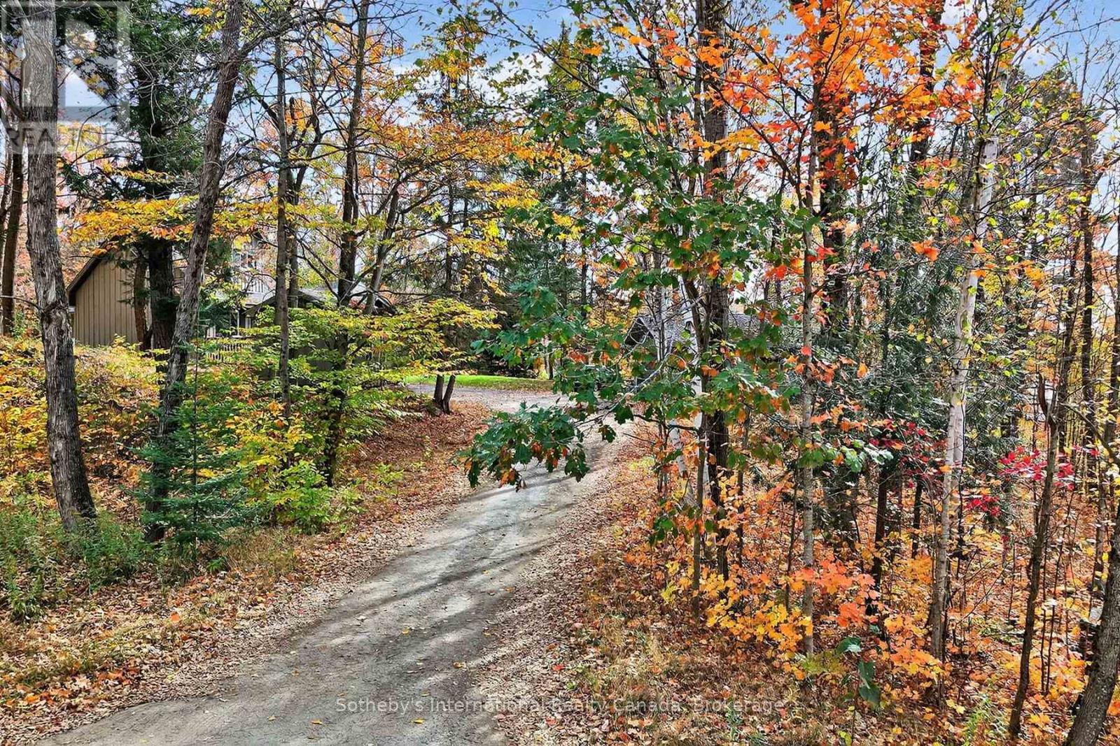1132 Limberlost Road, Lake Of Bays, Ontario  P1H 2J6 - Photo 41 - X12788304