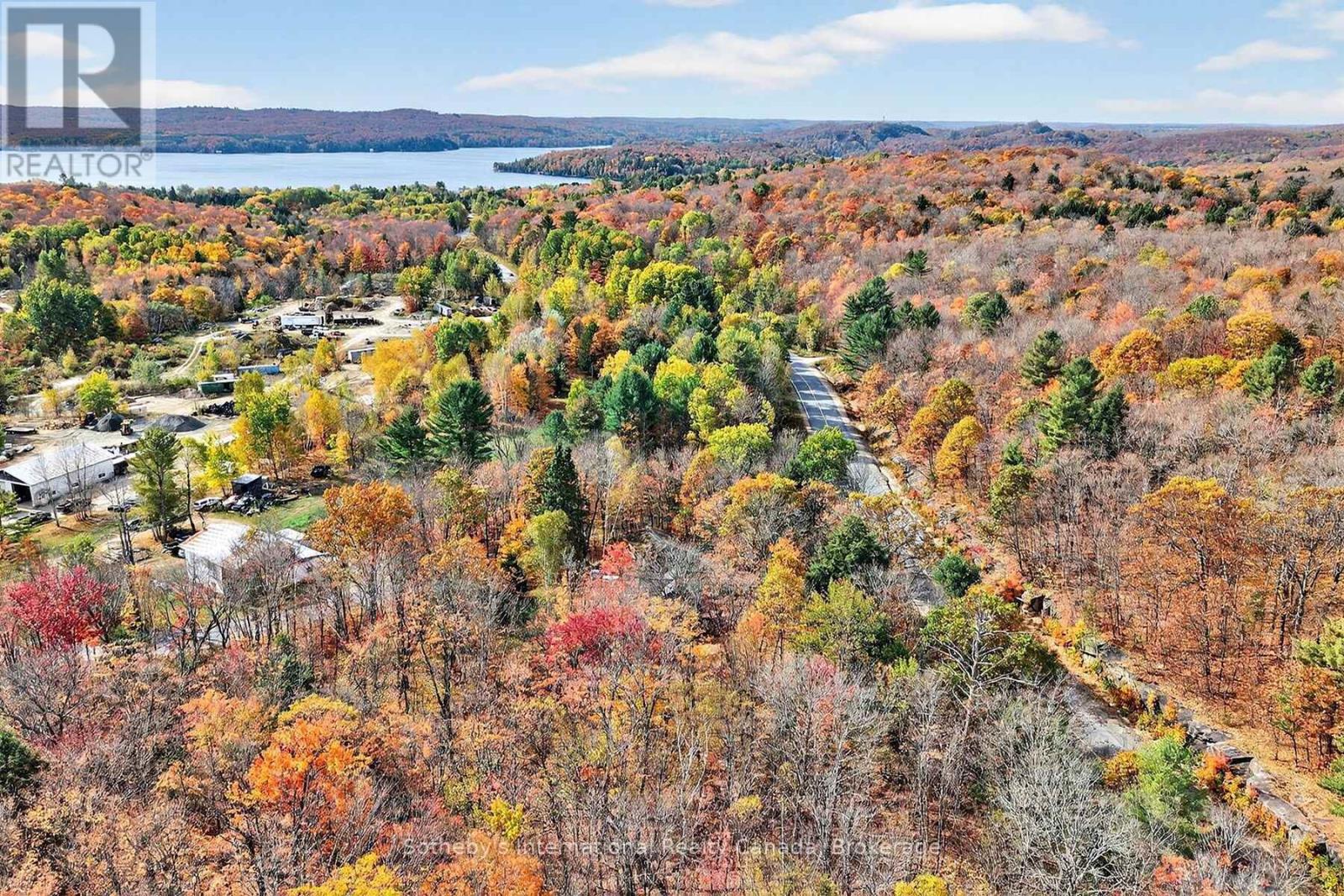 1132 Limberlost Road, Lake Of Bays, Ontario  P1H 2J6 - Photo 46 - X12788304