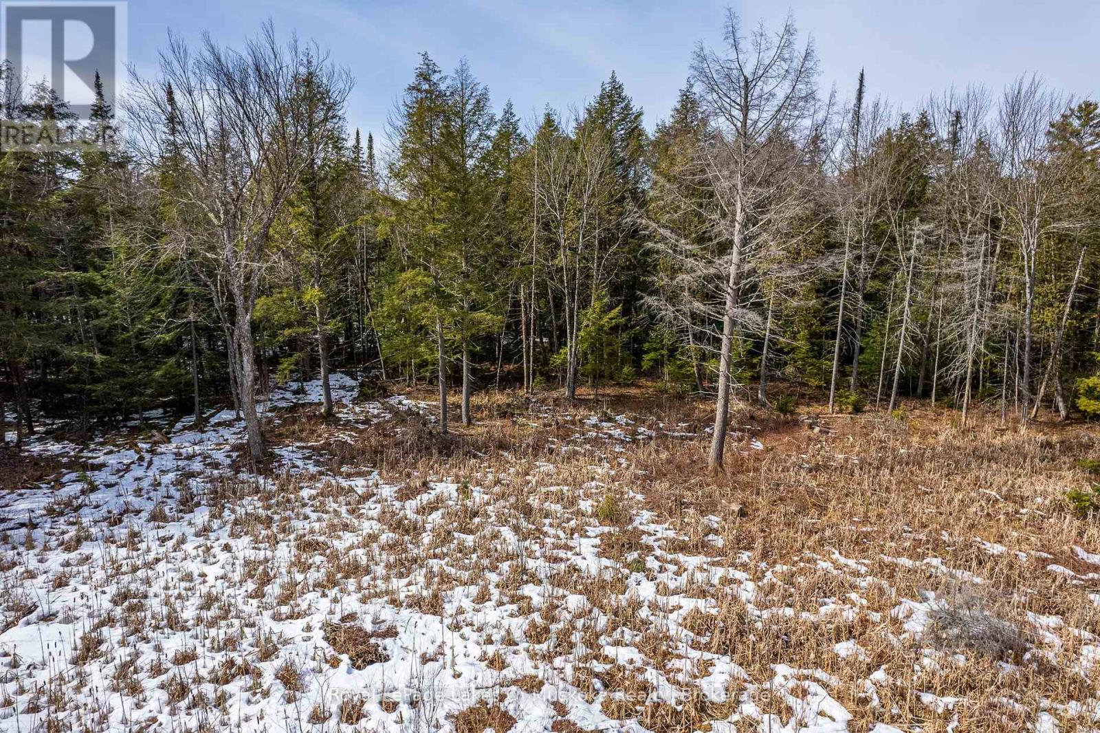 Part Lot 4, Muskoka Lakes, Ontario  P0B 1M0 - Photo 17 - X12415229