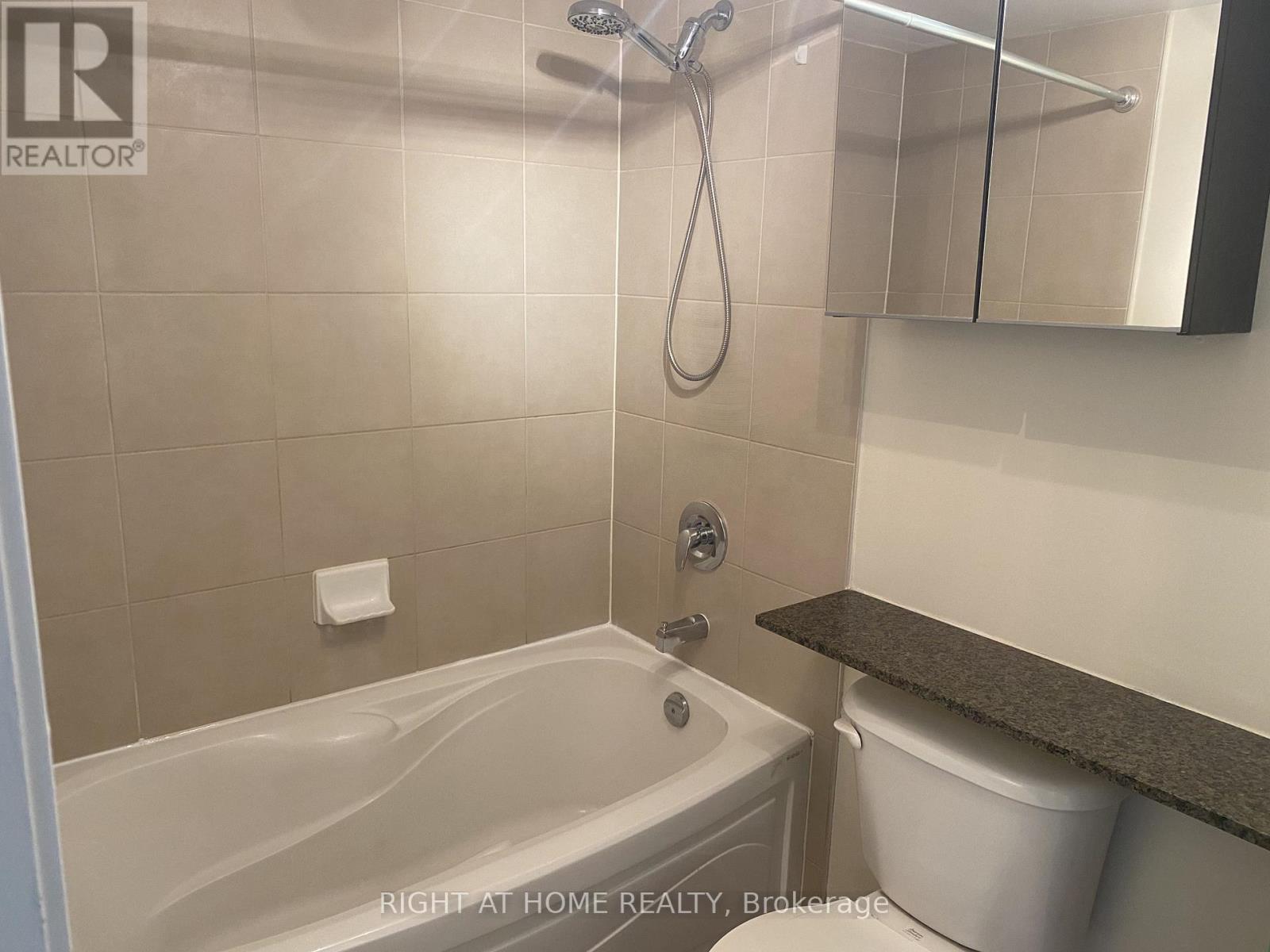 905 - 397 Front Street W, Toronto, Ontario  M5V 3S1 - Photo 7 - C12784632