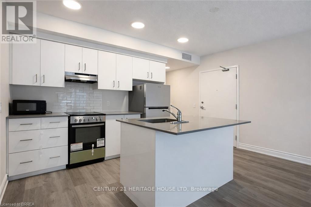 103 - 259 King Street E, Hamilton, Ontario  L8G 1L9 - Photo 3 - X12788500