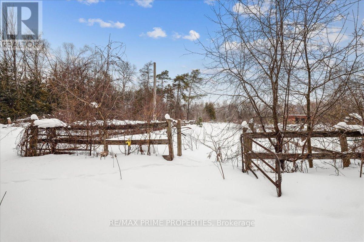 3016 Cole Road, East Gwillimbury, Ontario  L0G 1R0 - Photo 22 - N12788562