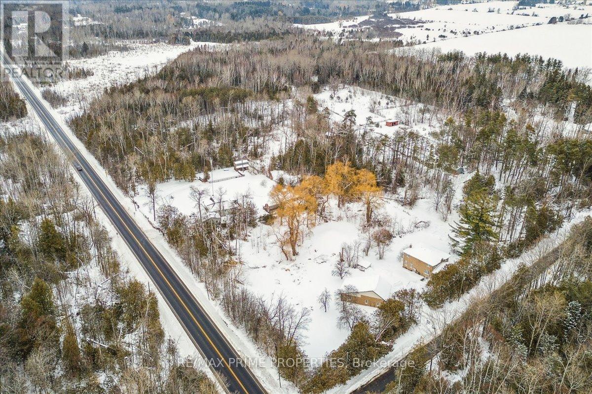 3016 Cole Road, East Gwillimbury, Ontario  L0G 1R0 - Photo 23 - N12788562