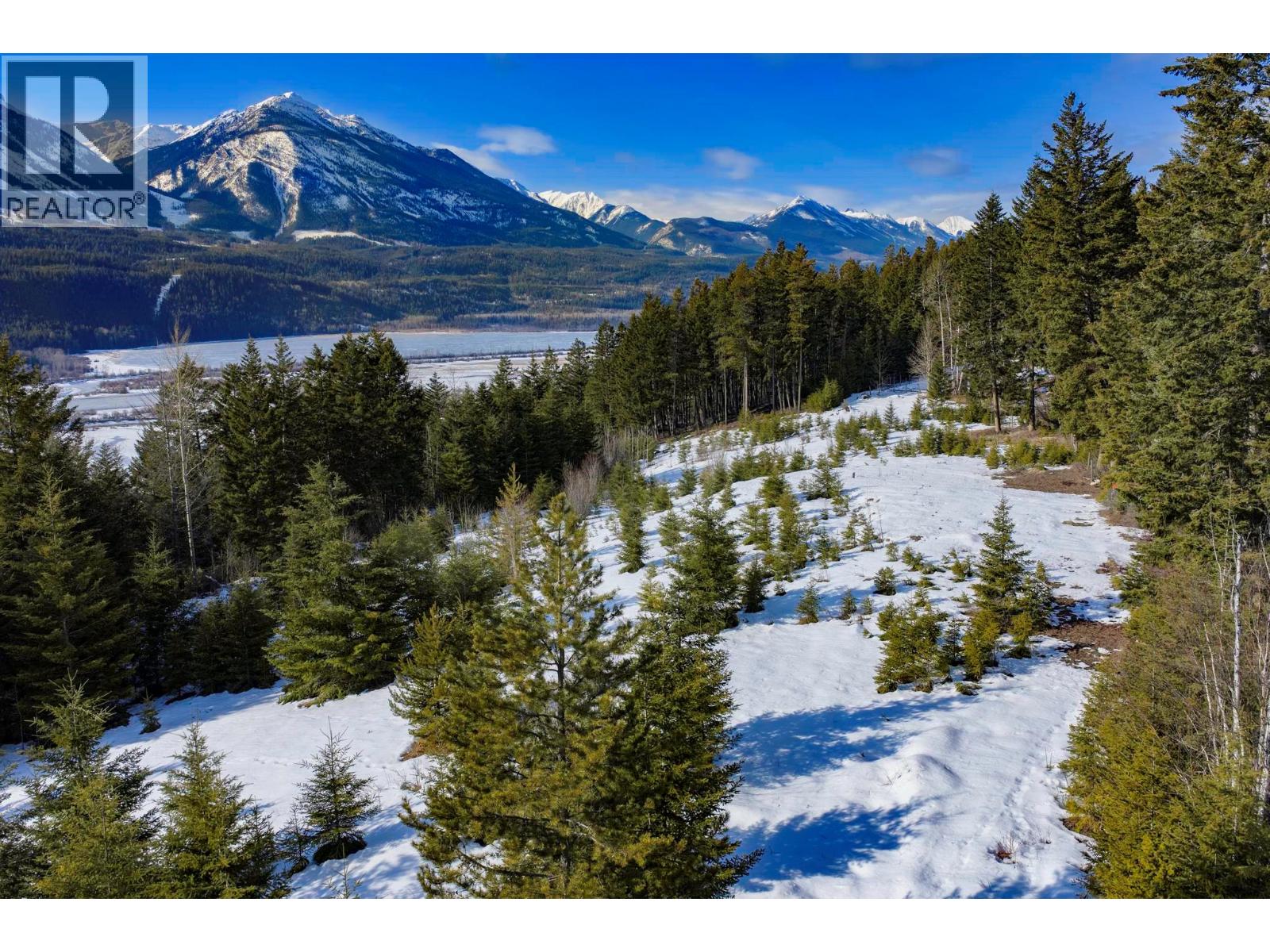 Lot 3 Schiesser Road, Golden, British Columbia  V0A 1H2 - Photo 18 - 10376017