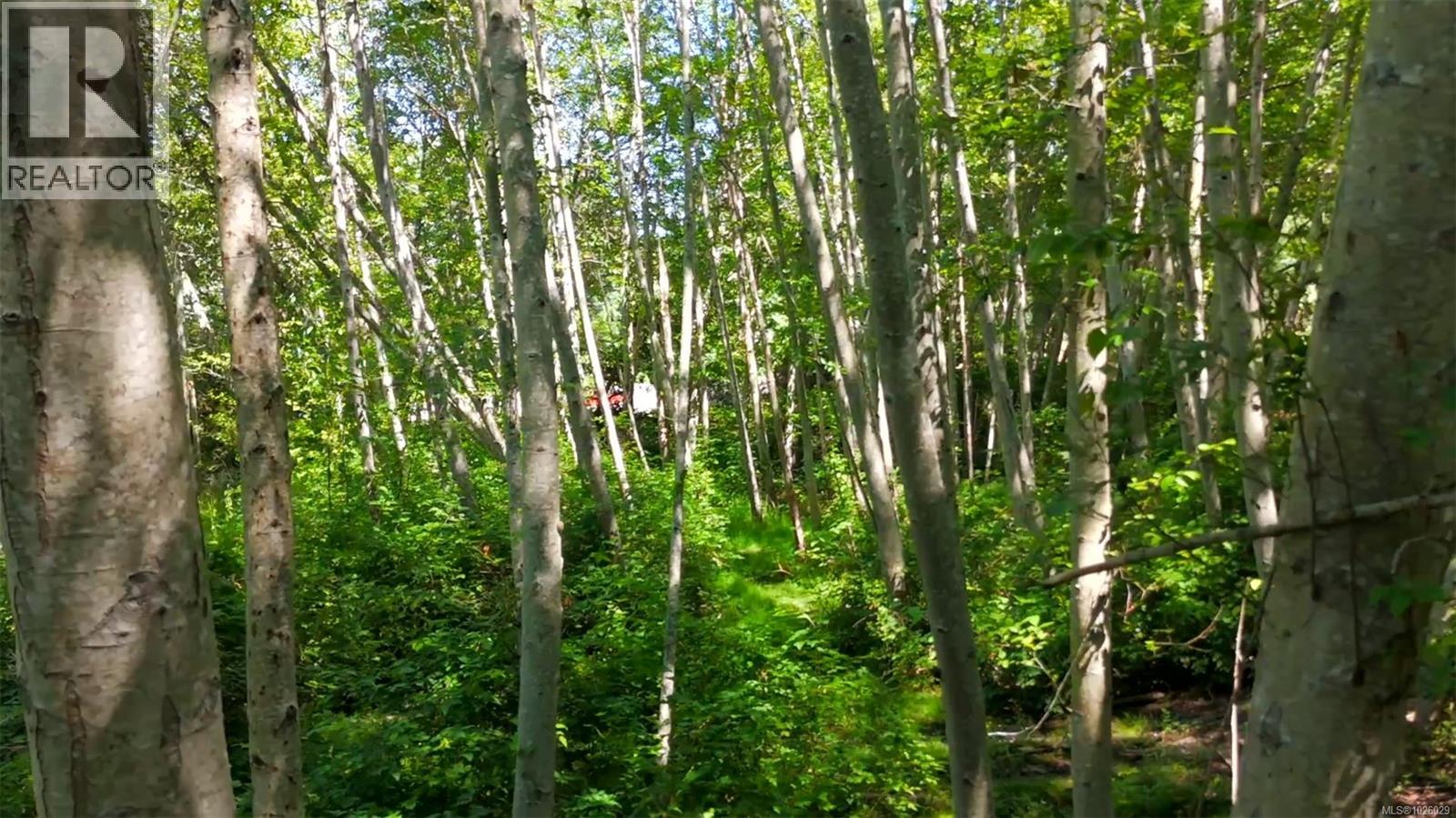 2433 Summerset Rd, Nanoose Bay, British Columbia  V9P 9E4 - Photo 22 - 1026029