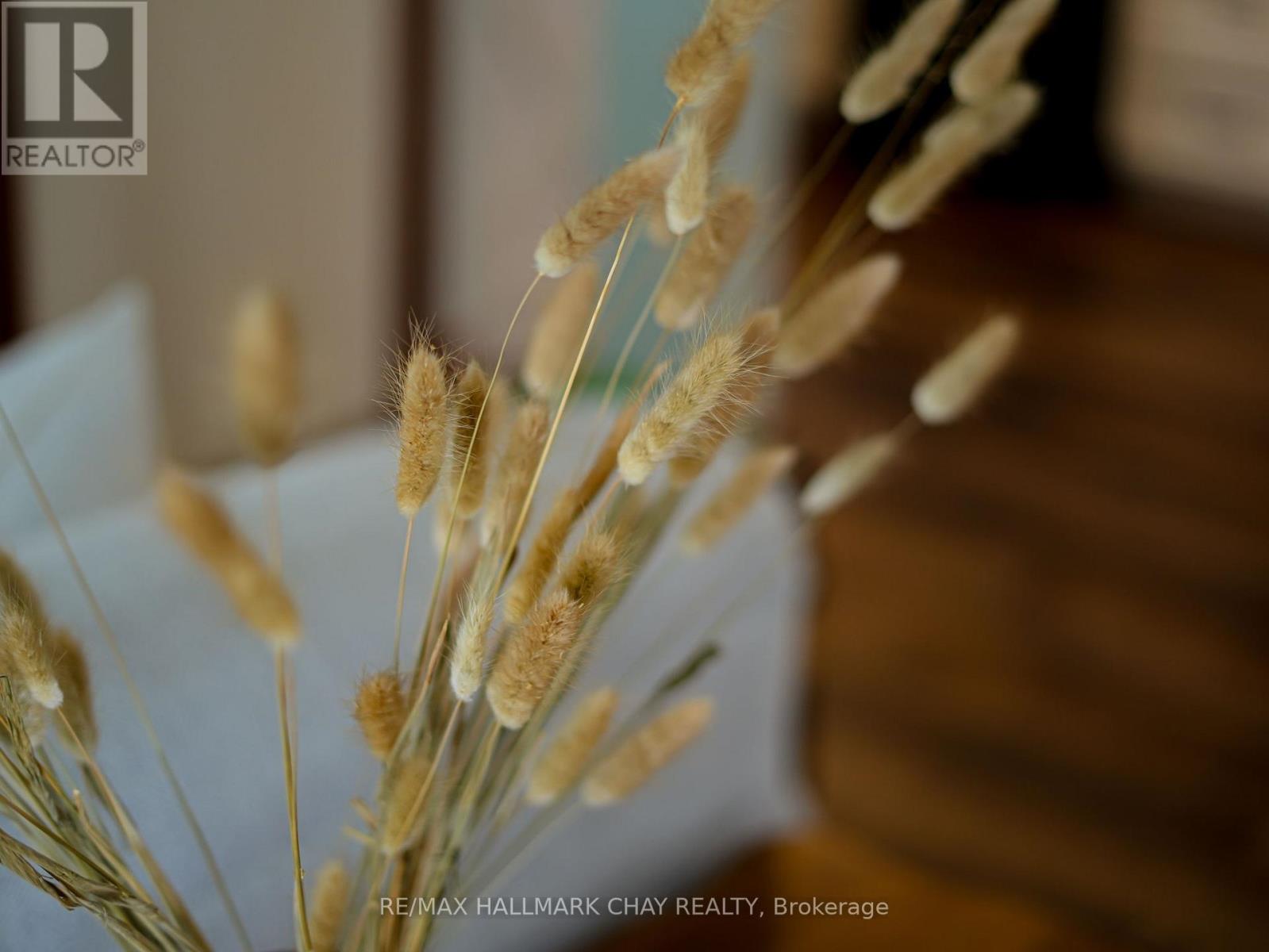 1 Pine River Crescent, Mulmur, Ontario  L9V 3H2 - Photo 25 - X12788670