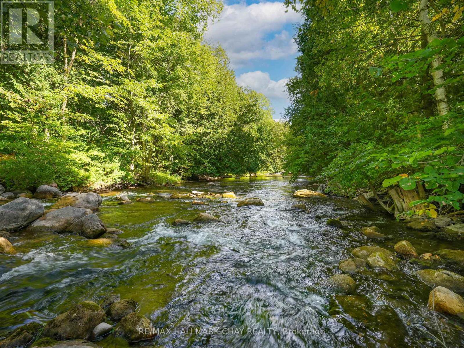 1 Pine River Crescent, Mulmur, Ontario  L9V 3H2 - Photo 44 - X12788670