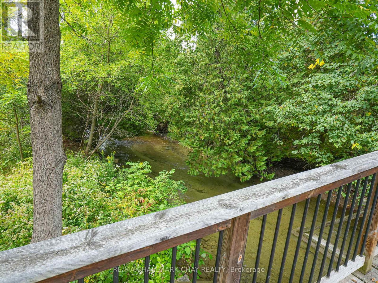 1 Pine River Crescent, Mulmur, Ontario  L9V 3H2 - Photo 45 - X12788670