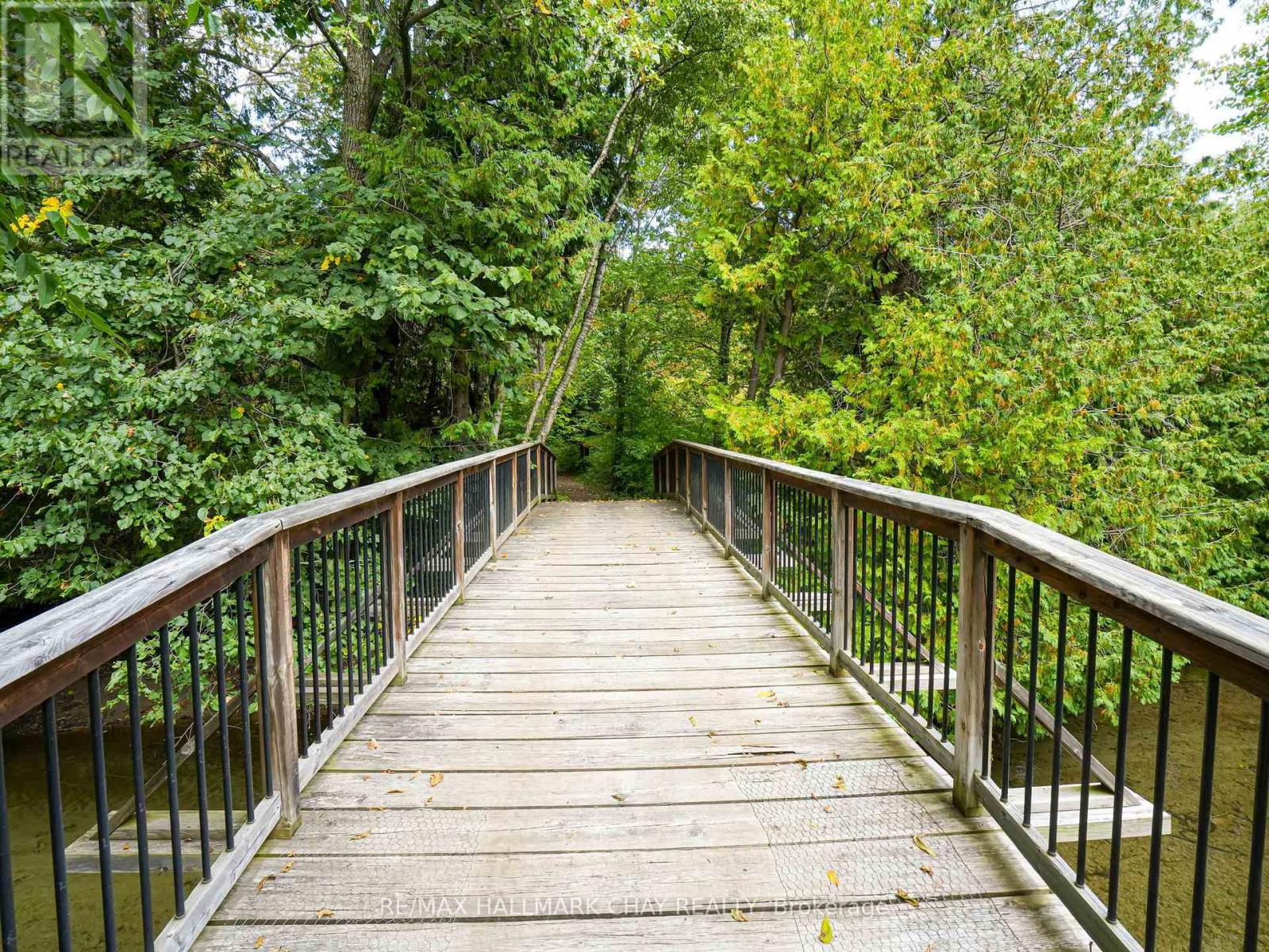 1 Pine River Crescent, Mulmur, Ontario  L9V 3H2 - Photo 46 - X12788670