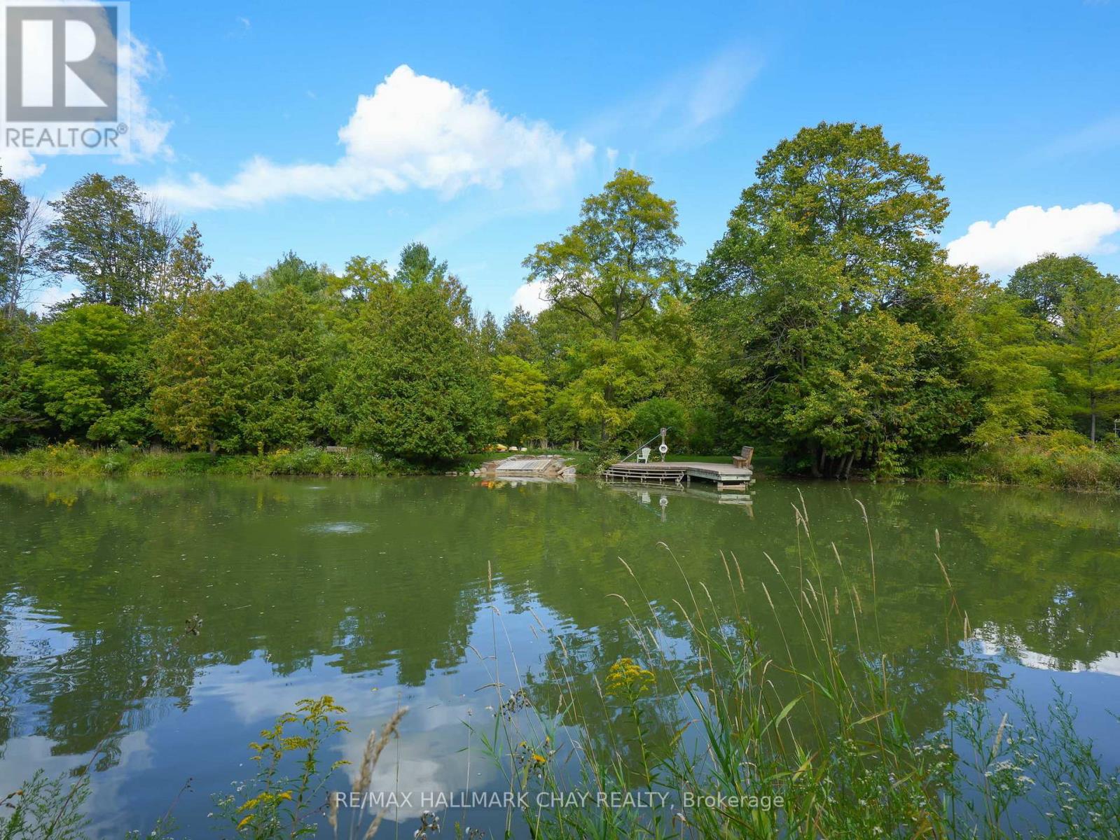 1 Pine River Crescent, Mulmur, Ontario  L9V 3H2 - Photo 48 - X12788670