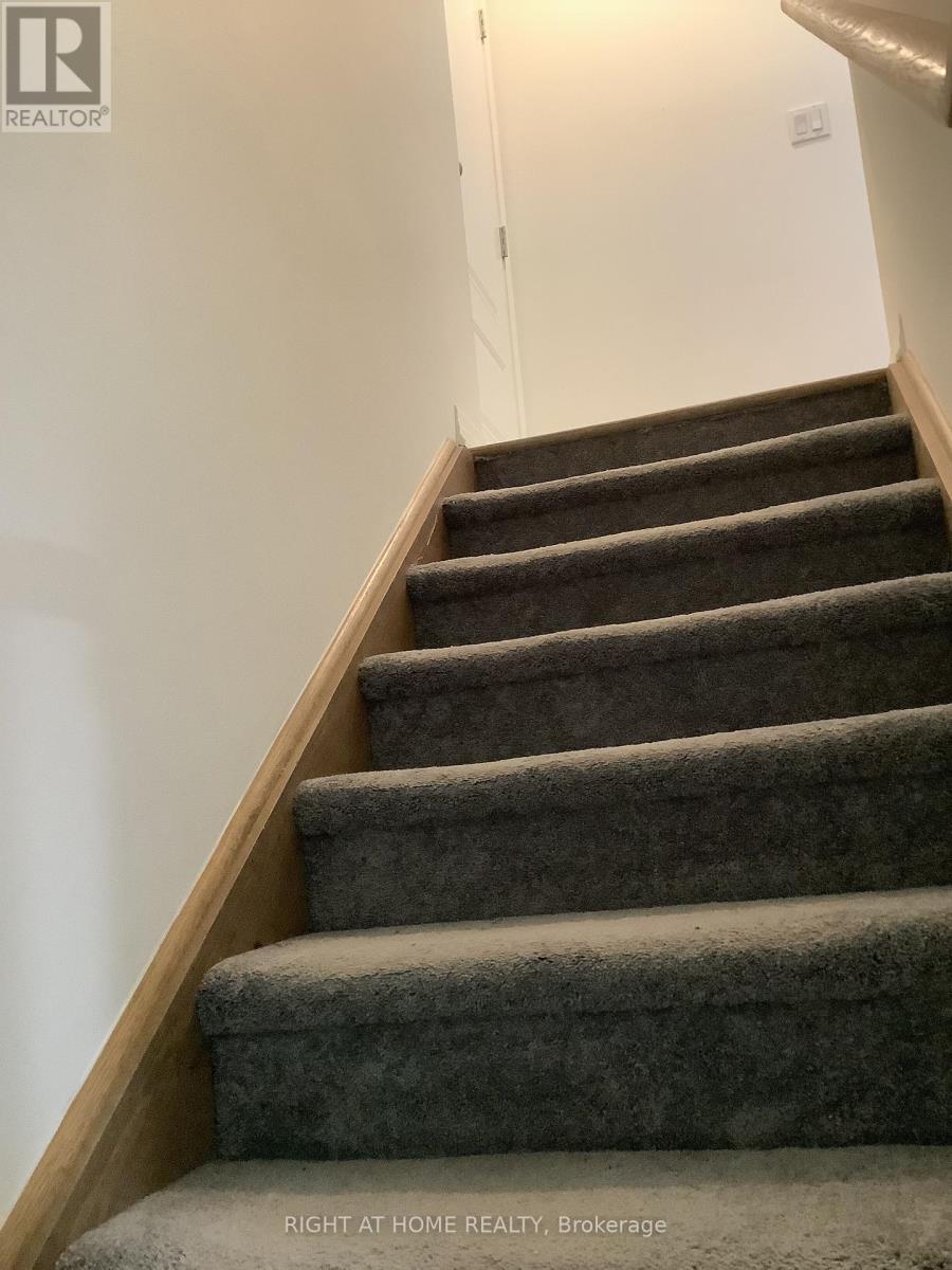 Basement - 14 Connell Drive, Georgina, Ontario  L4P 0J4 - Photo 3 - N12788694