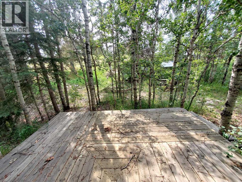 20, 41207 Range Road 263, Rural Lacombe County, Alberta  T4L 2N4 - Photo 43 - A2286309