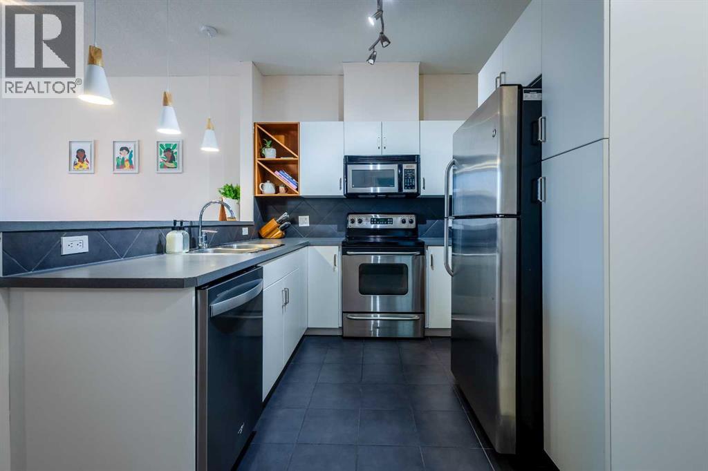 219, 3600 15a Street Sw, Calgary, Alberta  T2T 5P8 - Photo 11 - A2286259