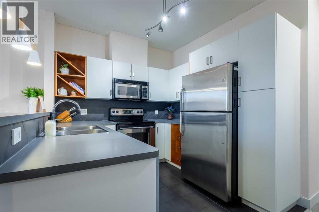219, 3600 15a Street Sw, Calgary, Alberta  T2T 5P8 - Photo 9 - A2286259