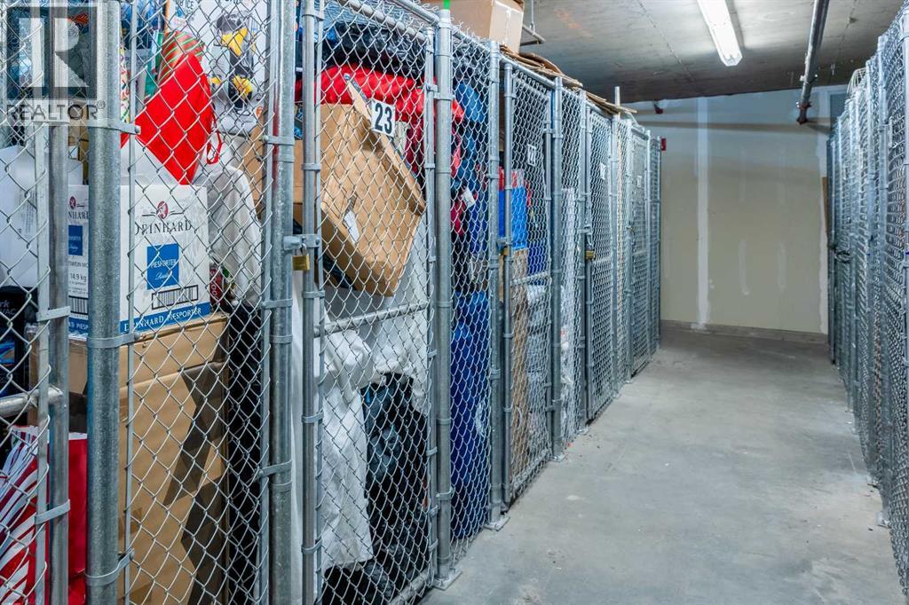 219, 3600 15a Street Sw, Calgary, Alberta  T2T 5P8 - Photo 31 - A2286259