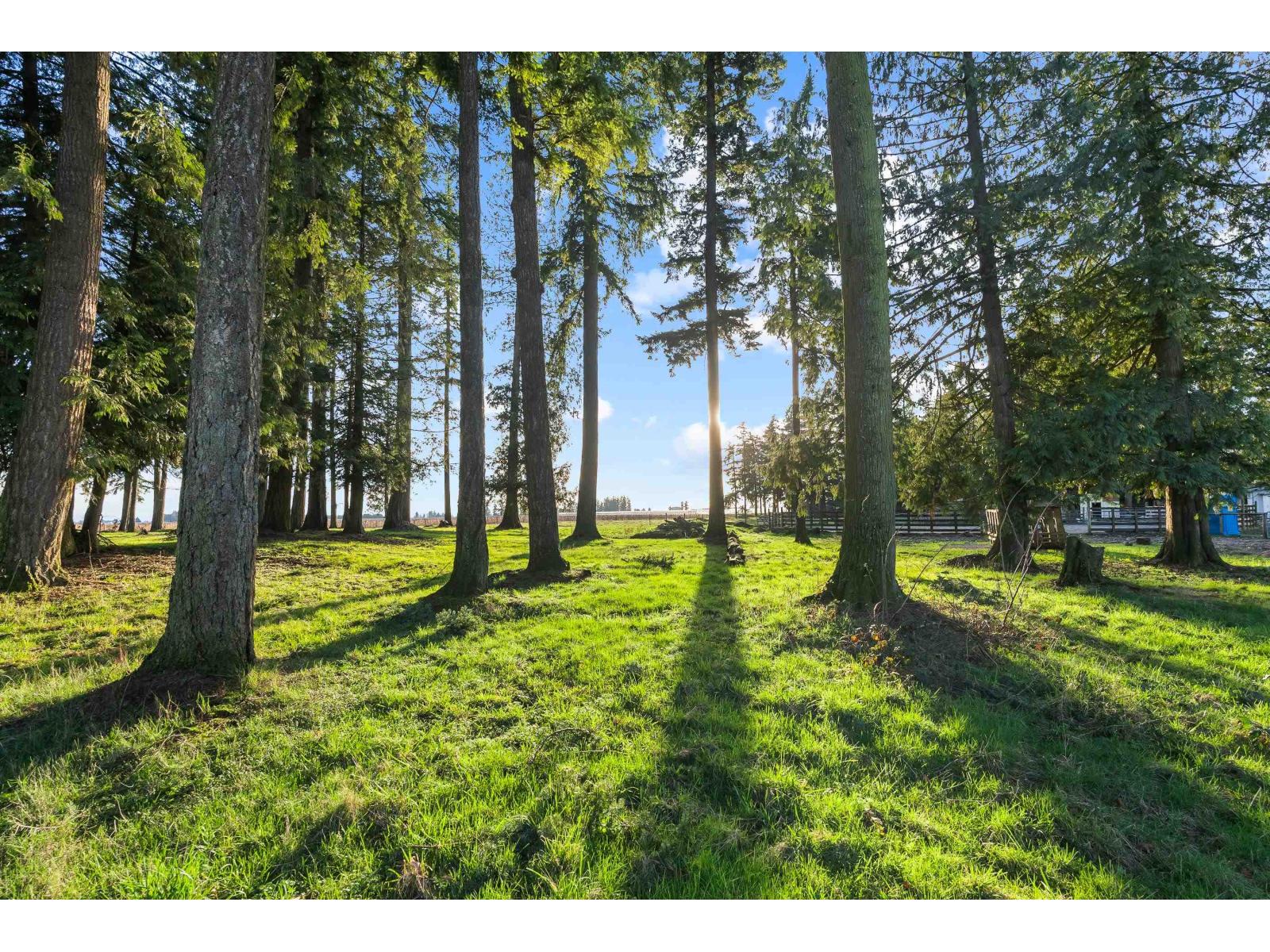 29380 Huntingdon Road, Abbotsford, British Columbia  V4X 1S7 - Photo 7 - R3089703