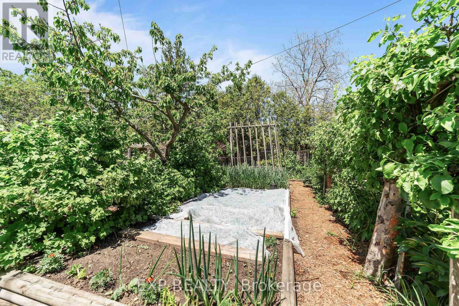 137 Fried Street, Bluewater, Ontario  N0M 1N0 - Photo 30 - X12788806