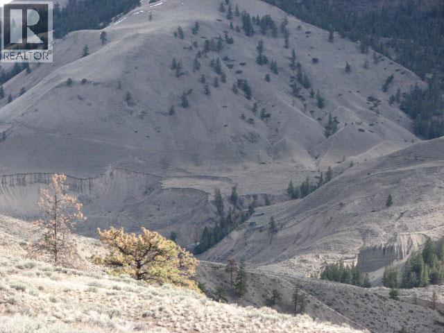 Dist Lot 3168 Schraeder Lake Recreation Trail, Adams Lake, British Columbia  V0K 1N0 - Photo 22 - 10375849