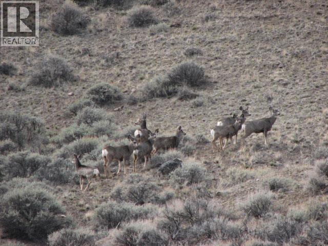 Dist Lot 3168 Schraeder Lake Recreation Trail, Adams Lake, British Columbia  V0K 1N0 - Photo 26 - 10375849
