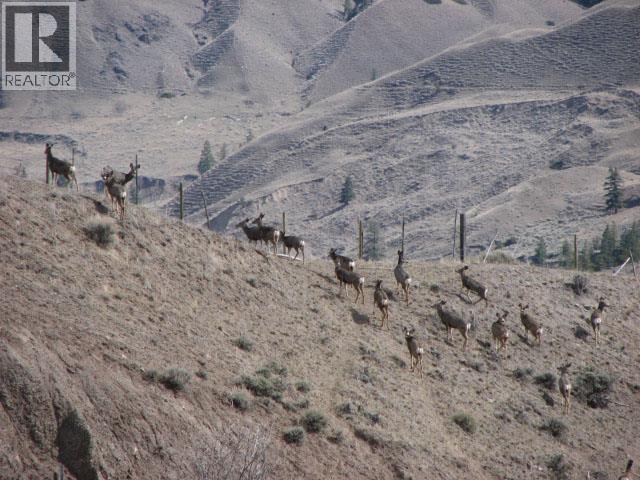 Dist Lot 3168 Schraeder Lake Recreation Trail, Adams Lake, British Columbia  V0K 1N0 - Photo 27 - 10375849