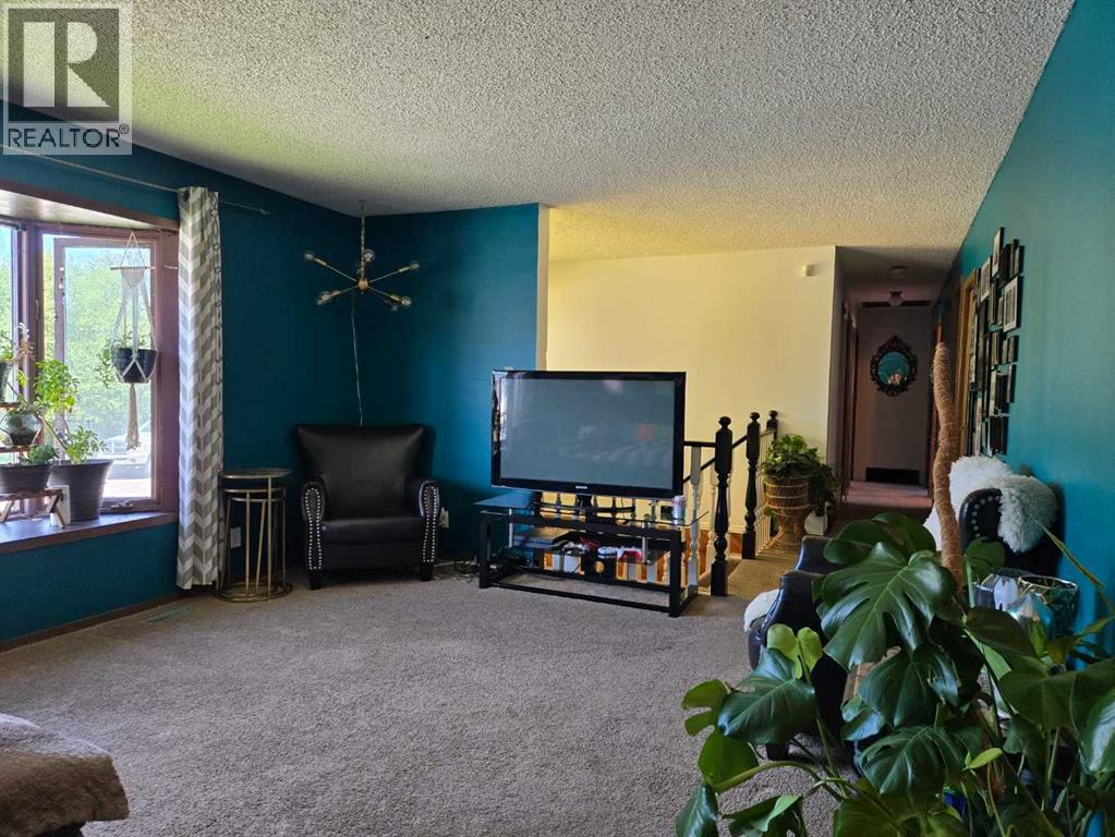 3002 225 Street, Bellevue, Alberta  T0K 0C0 - Photo 8 - A2264792