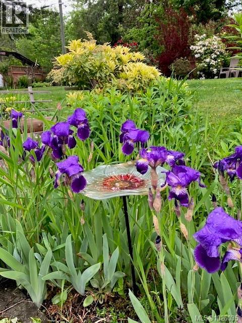 1870 Munsie Rd, Shawnigan Lake, British Columbia  V8H 2A8 - Photo 97 - 1026035