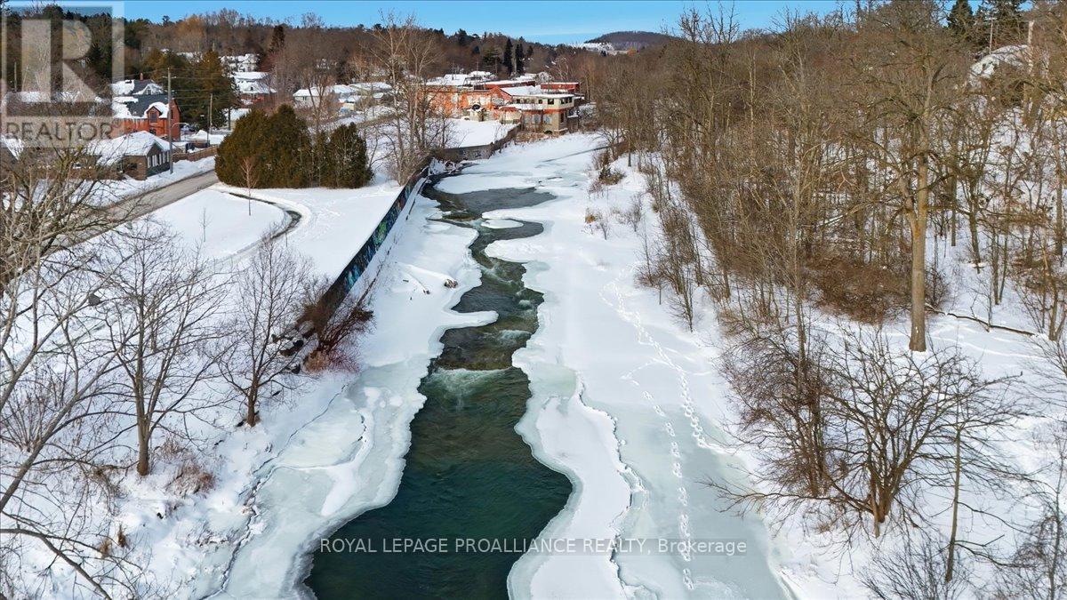 96 Cavan Street, Port Hope, Ontario  L1A 3B7 - Photo 37 - X12772786