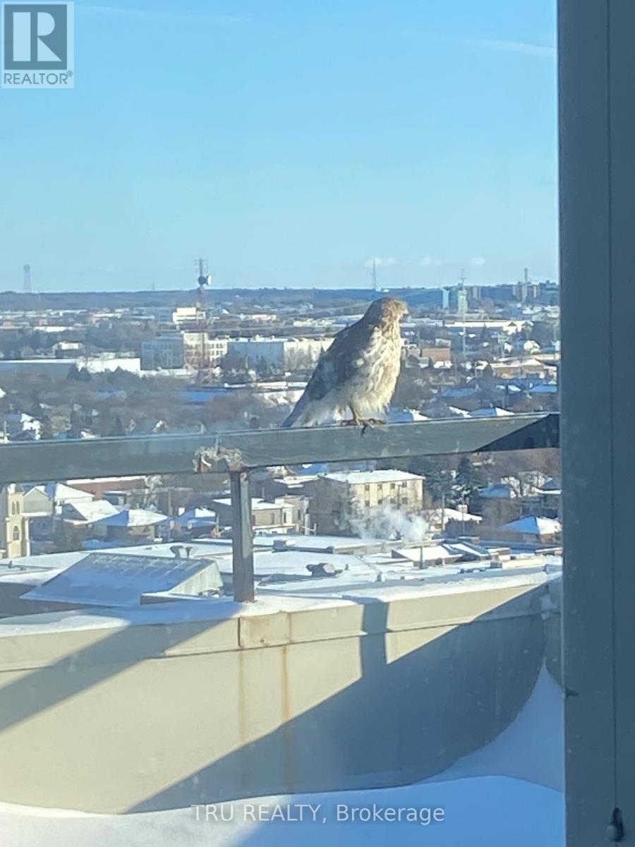 Ph4 - 158a Mcarthur Avenue, Ottawa, Ontario  K1L 7E7 - Photo 47 - X12788862