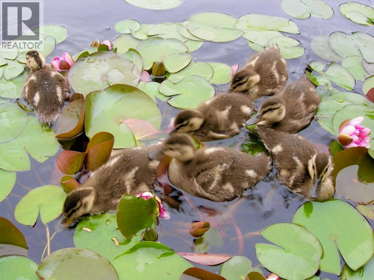 316 2020 E Kent Avenue South, Vancouver, British Columbia  V5P 4X1 - Photo 39 - R3089994