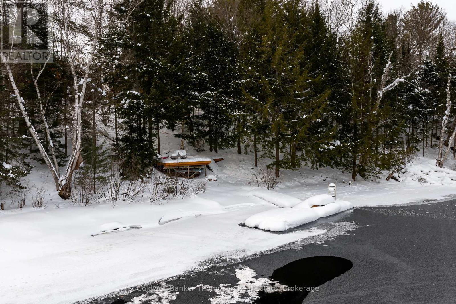 48 Shellwood Shores Avenue, Huntsville, Ontario  P1H 2M4 - Photo 3 - X12788978