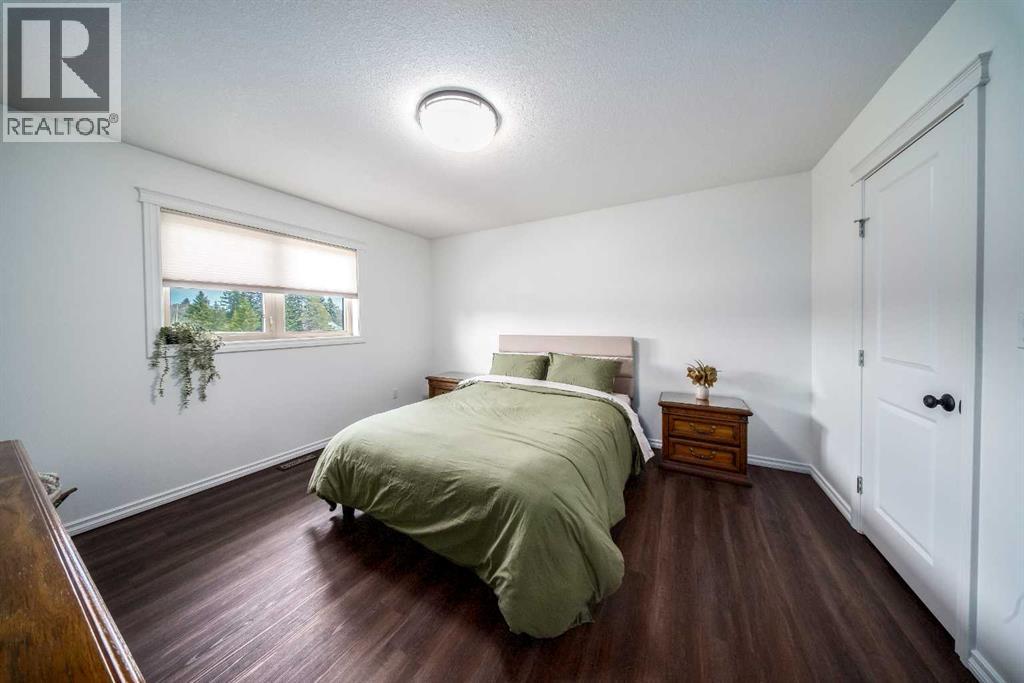 19 5 Street W, Erskine, Alberta  T0C 1G0 - Photo 19 - A2286228