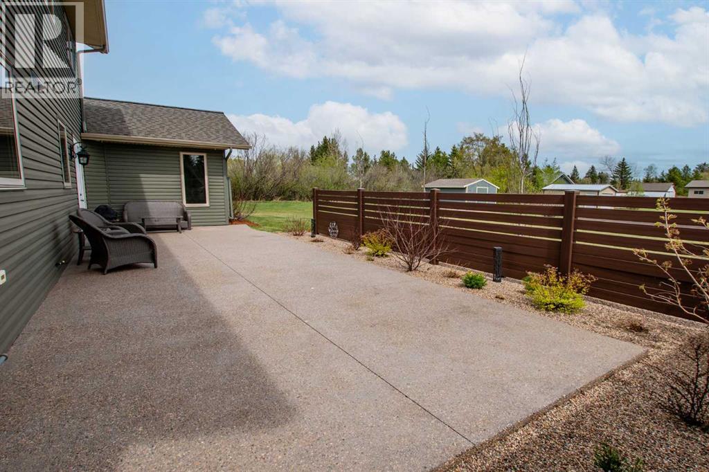 19 5 Street W, Erskine, Alberta  T0C 1G0 - Photo 4 - A2286228