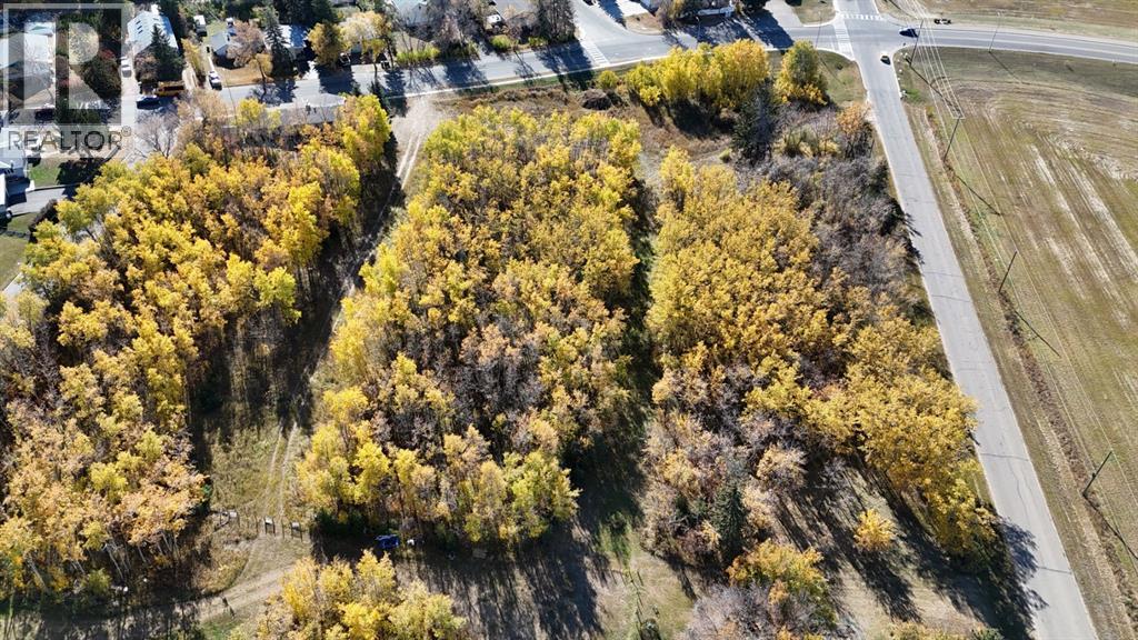 5005 46 Street, Ponoka, Alberta  T4J 1C2 - Photo 5 - A2026785