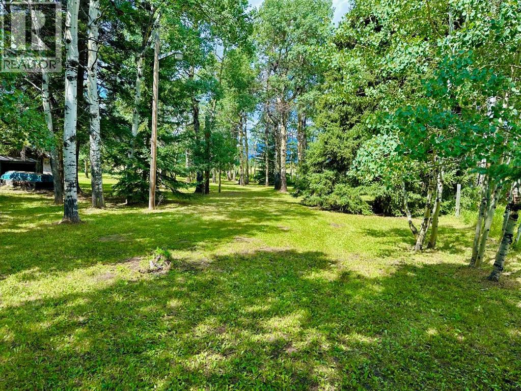 23005 27 Avenue, Bellevue, Alberta  T0K 0C0 - Photo 9 - A2283422