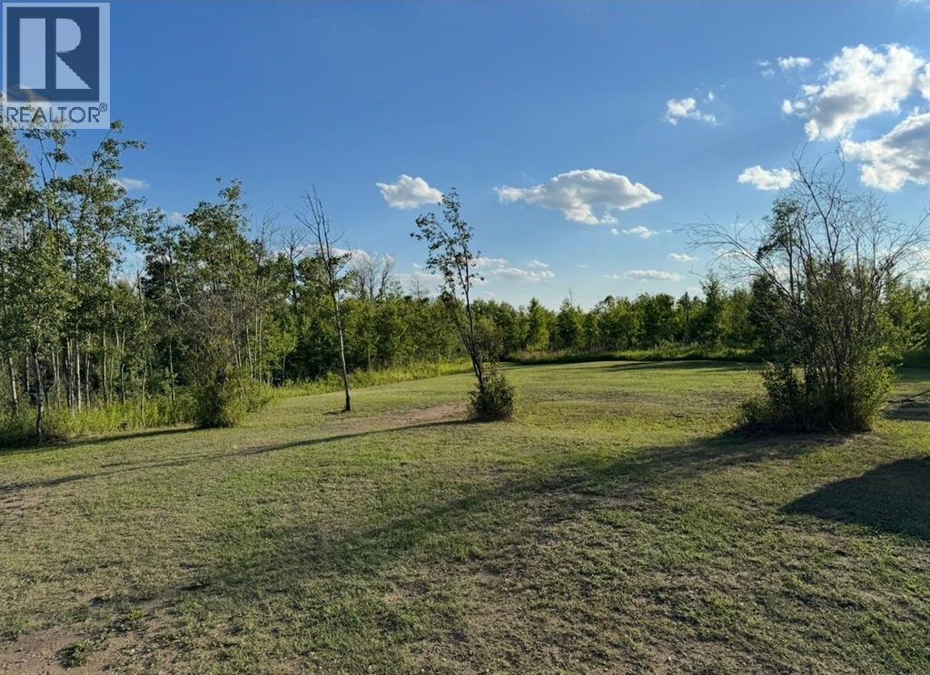 743046 Range Road 41 Range, Rural Grande Prairie No. 1, Alberta  T0H 3C0 - Photo 45 - A2275414