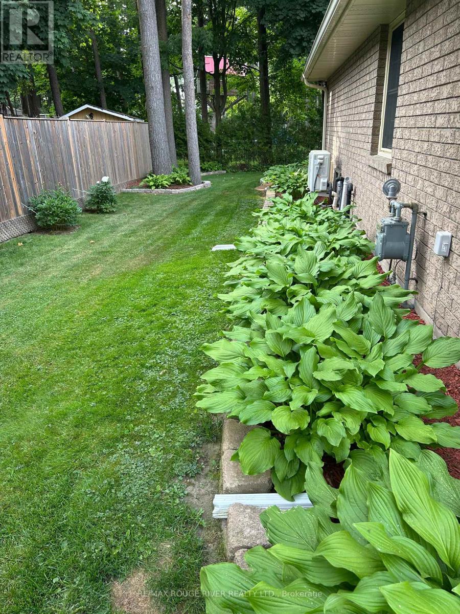 7 Jane Street, Port Hope, Ontario  L1A 2E4 - Photo 43 - X12788702