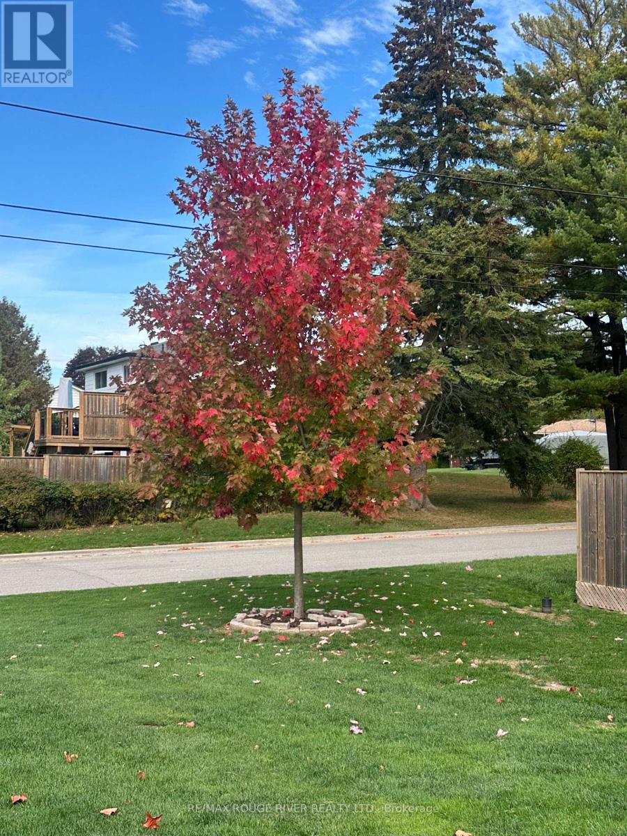 7 Jane Street, Port Hope, Ontario  L1A 2E4 - Photo 35 - X12788702
