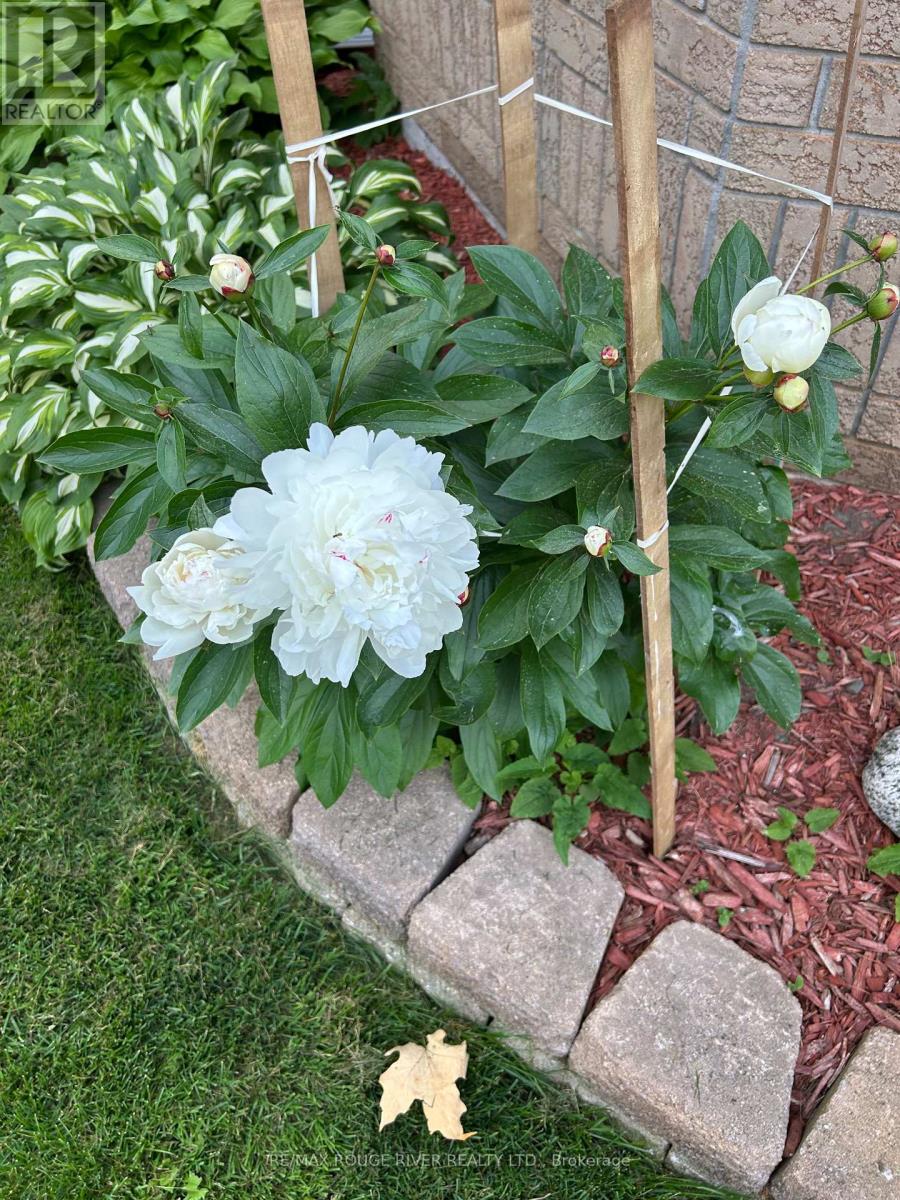 7 Jane Street, Port Hope, Ontario  L1A 2E4 - Photo 41 - X12788702