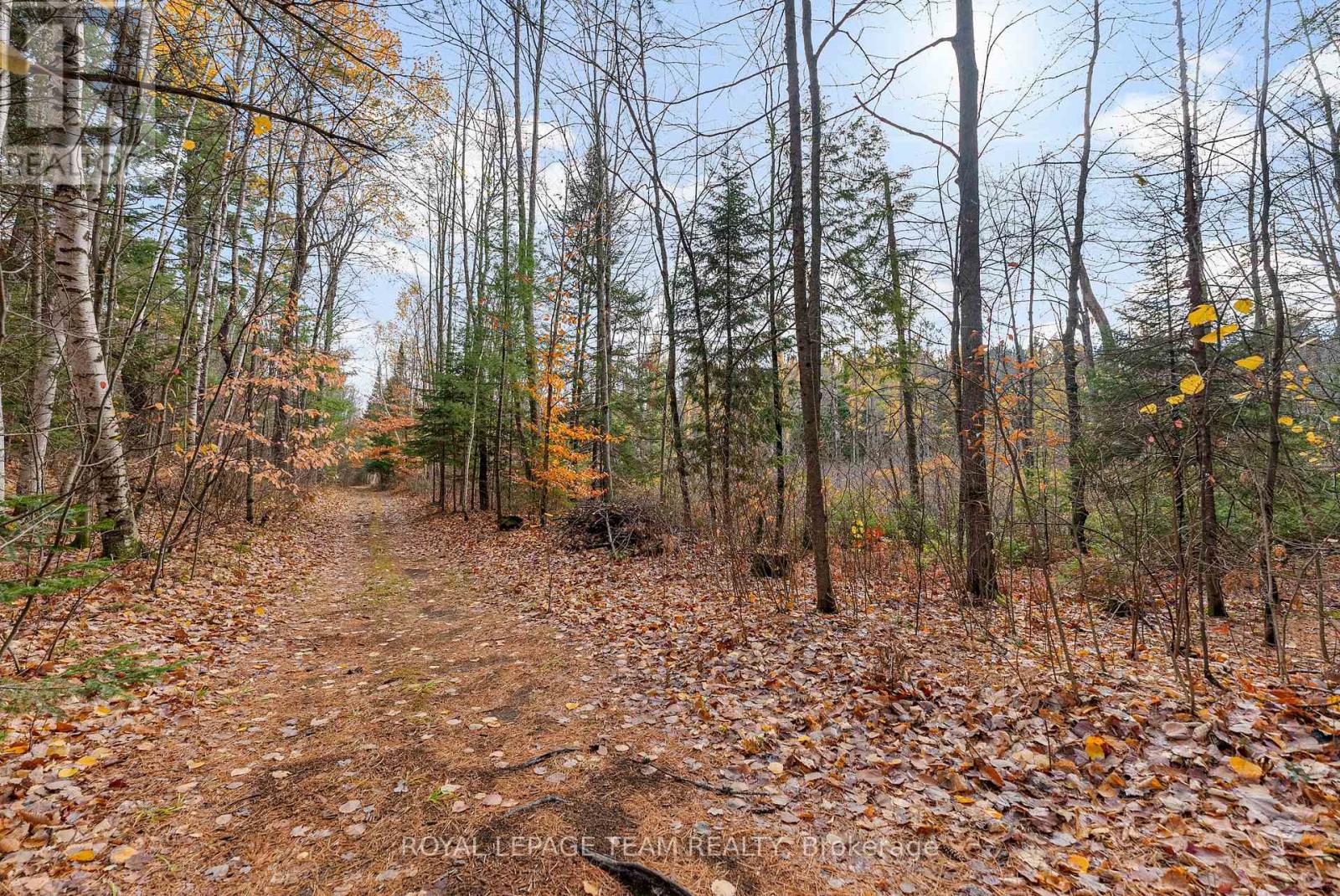 725 Marsh Road, North Algona Wilberforce, Ontario  K8A 6W4 - Photo 37 - X12481689