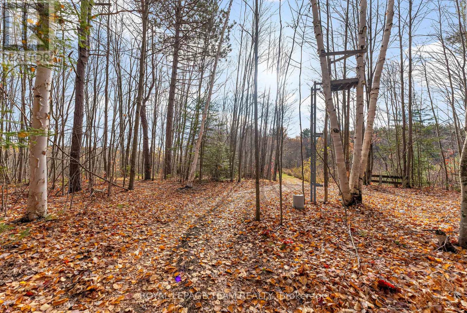 725 Marsh Road, North Algona Wilberforce, Ontario  K8A 6W4 - Photo 39 - X12481689